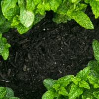 Raised Bed Mix (Cubic Yard)