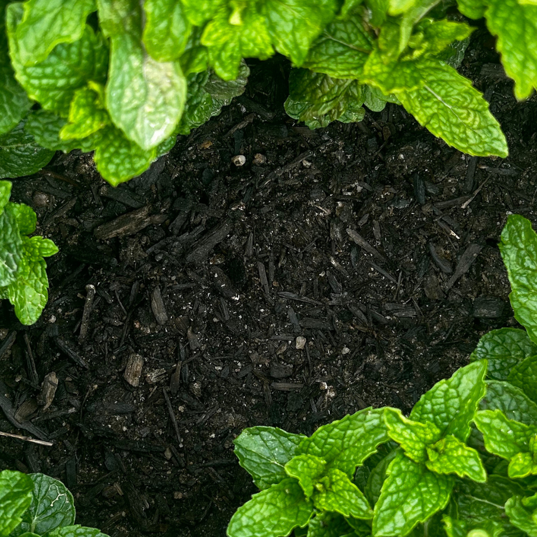 Raised Bed Mix (Cubic Yard)